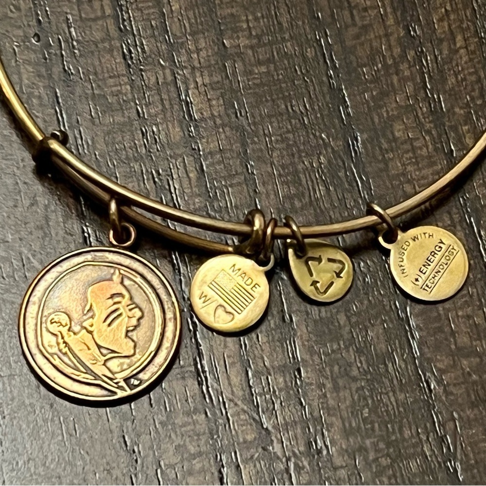 Alex and Ani FSU Charm Bracelet - Picture 1 of 6